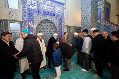 cfe04e55-fe95-47cf-acbe-14d726c27bfb