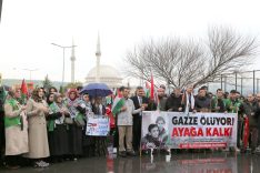 668376144_1495688062347608_5543548681929968862_n