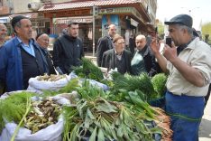 682434787_1563055419153939_8718613104334165820_n