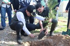 77938b3a-2a90-4524-97b2-888ddddd06f9