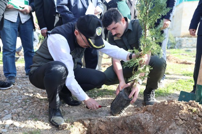 77938b3a-2a90-4524-97b2-888ddddd06f9