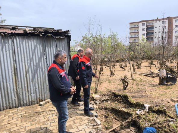 85c062ea-ee83-49ed-8df7-ca715af77582