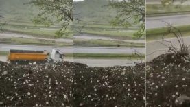 bb8c9898-a934-49b0-a699-5d1f2ca09fbb