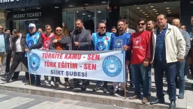 d513a433-703b-48e9-8c32-7b0ead5d8fc6