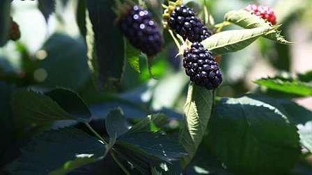 f1c53a22-86b7-4370-b307-21d120ba7e13