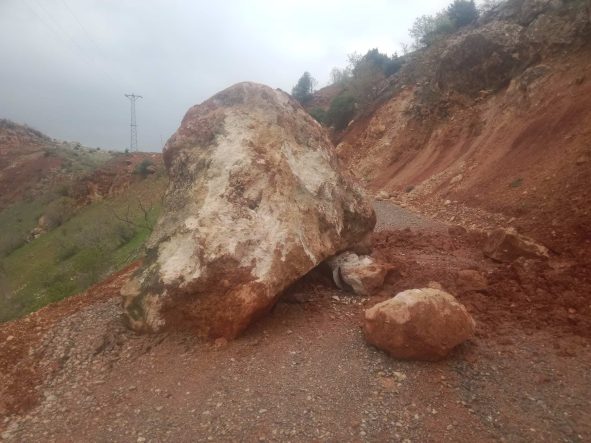 f6b43d4b-9395-4d87-b069-2db6dcd47da7