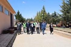 fa238003-2f8d-415d-852c-480ce4931eb2