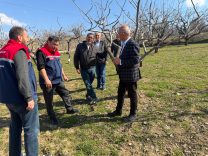 faef92bf-2471-485b-bd97-852231e467fa