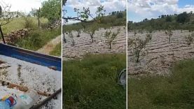 39537845-acb6-4ea2-8857-9493b0cb8696