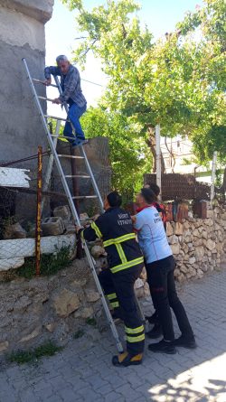 Siirt’te İlginç Olay: Eşinden Kaçıp Çatıya Sığındı, İtfaiye Merdiveniyle Kurtarıldı