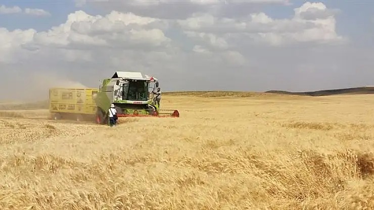 Kurtalan’da 2026 Hububat Nakliye Ücretleri Açıklandı
