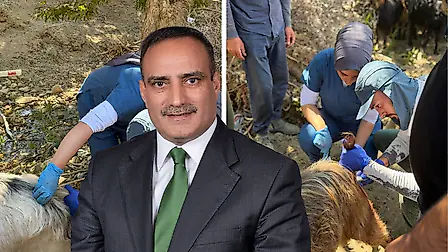 Siirt Küçükbaş Hayvancılığında Yeni Dönem: 1.500 Keçide Suni Tohumlama Yapıldı
