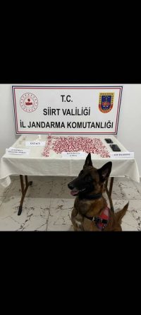 SİİRT’TE UYUŞTURUCU OPERASYONUNDA; 2 BİN 650 UYUŞTURUCU HAP ELE GEÇİRİLDİ